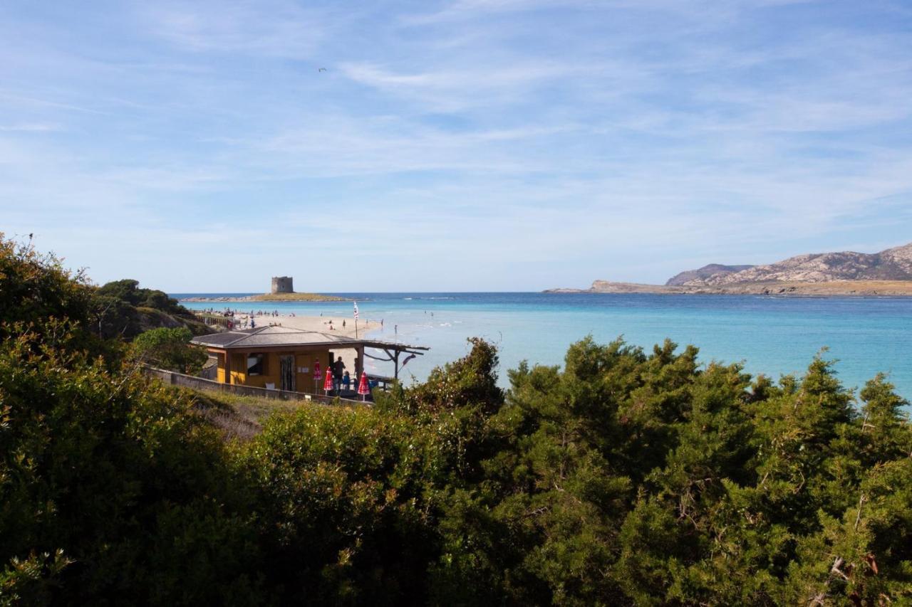فيلا Panorama Sul Mare ستينتينو المظهر الخارجي الصورة