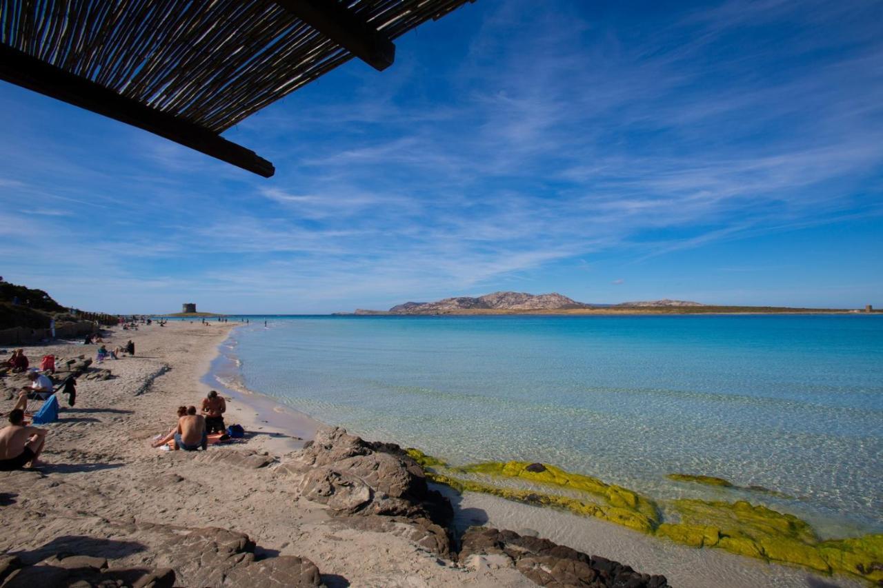 فيلا Panorama Sul Mare ستينتينو المظهر الخارجي الصورة
