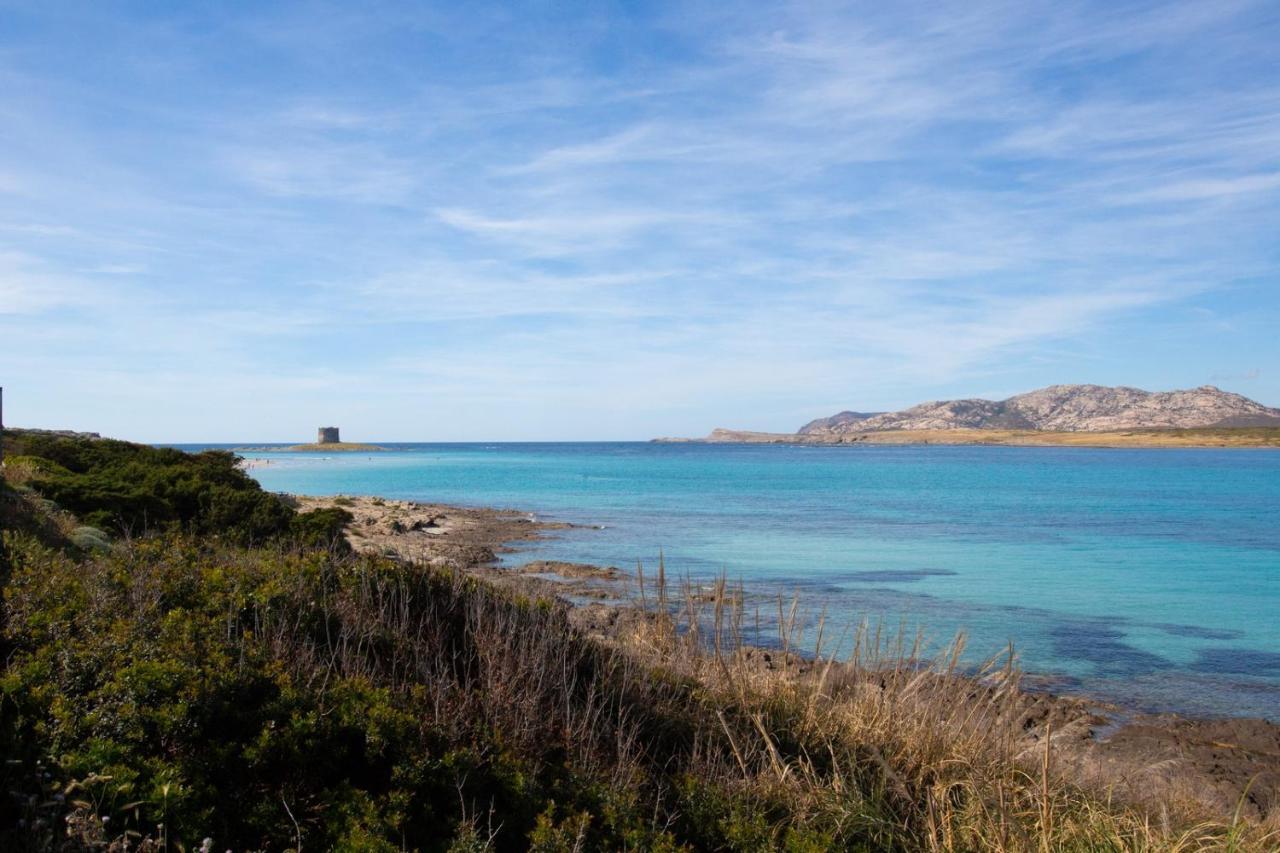 فيلا Panorama Sul Mare ستينتينو المظهر الخارجي الصورة