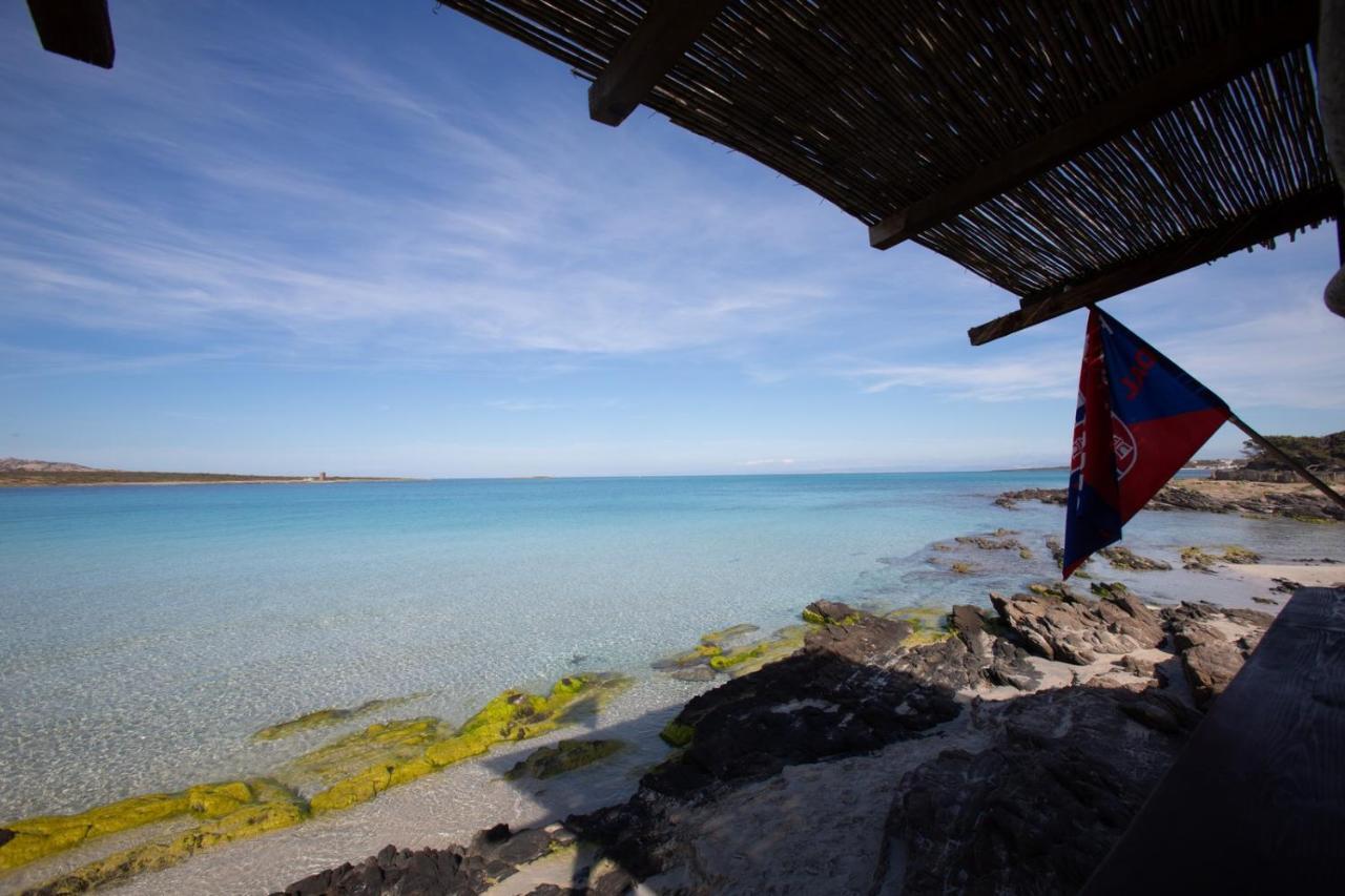 فيلا Panorama Sul Mare ستينتينو المظهر الخارجي الصورة